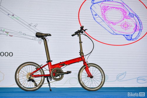 2020中國自行車產(chǎn)業(yè)大會(huì) 大行折疊車盡顯不凡風(fēng)范與零配件制造新篇章